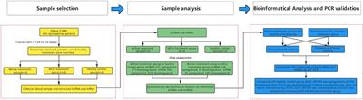 Exploring the Regulation of Jiangtang Tiaozhi Formula on the Biological Network of Obese T2DM Complicated With Dyslipidemia Based on Clinical Transcriptomics